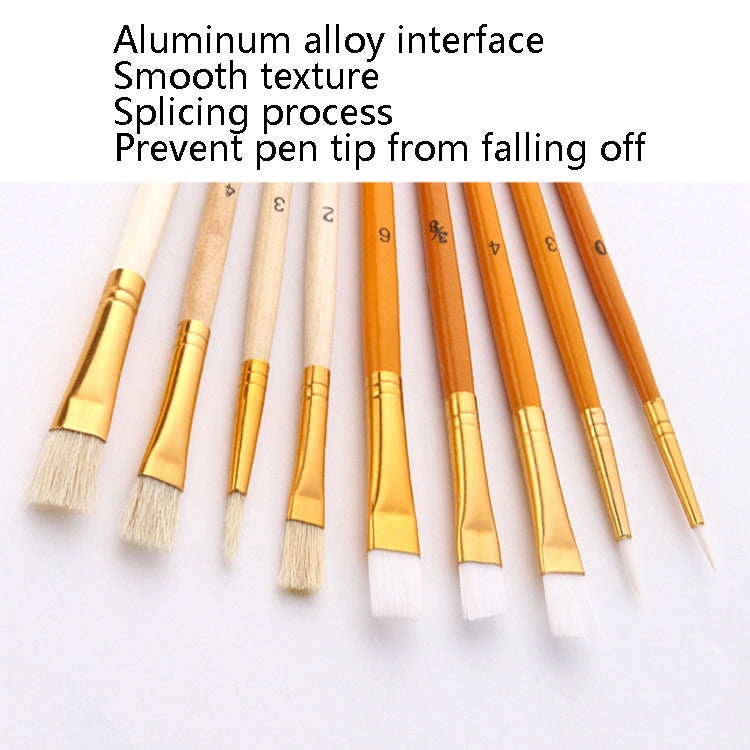 ZHU TING Artist Brush Set — 25 Pieces