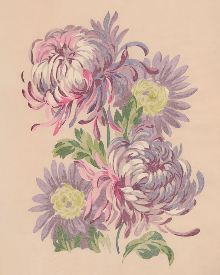 Connie Blooms — Paint by Numbers Kit
