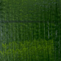 Sap Green Acrylic Paint